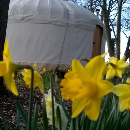 Gingerbread Cottage Yurts Dereham Exterior photo