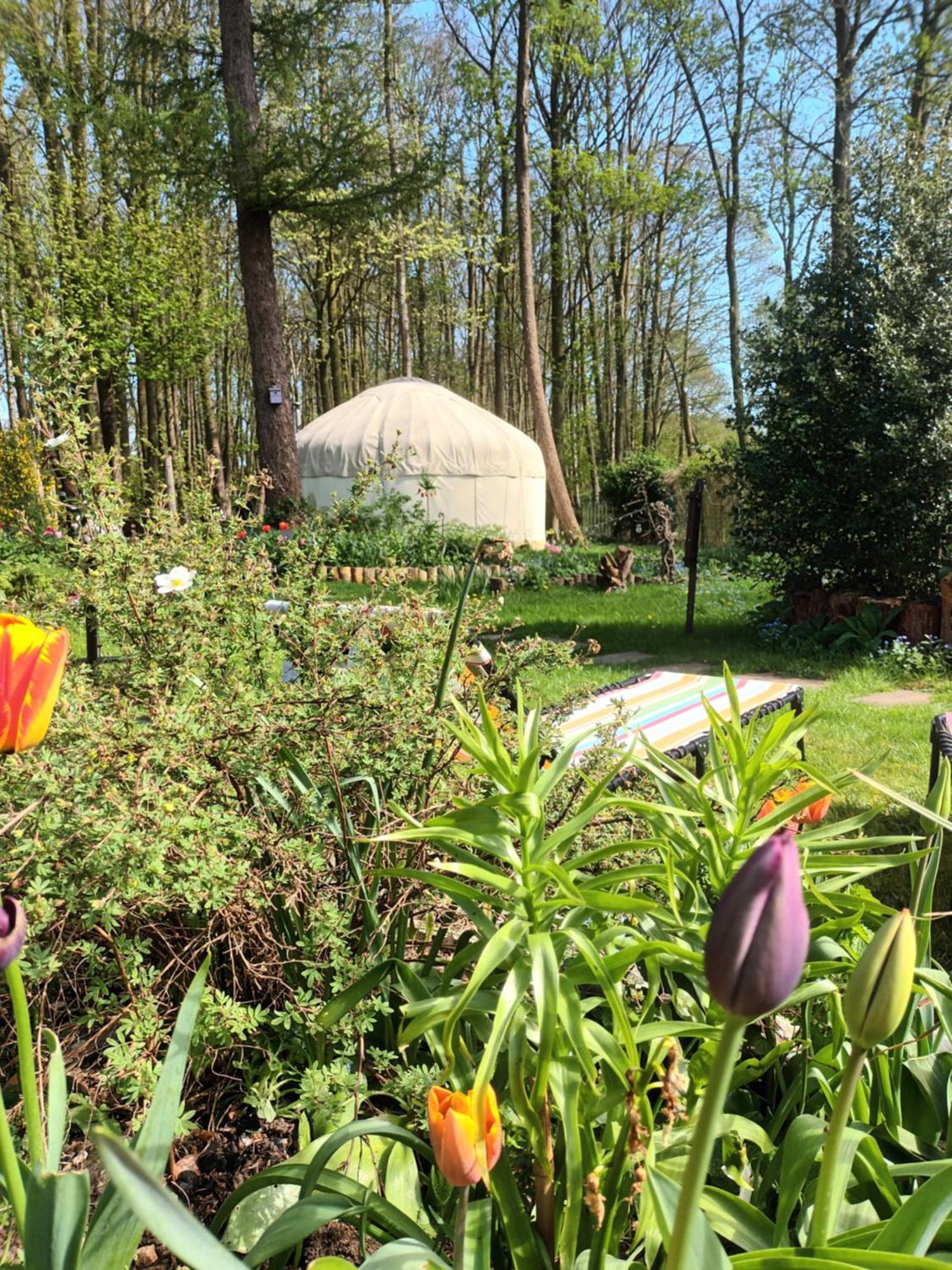 Gingerbread Cottage Yurts Dereham Exterior photo