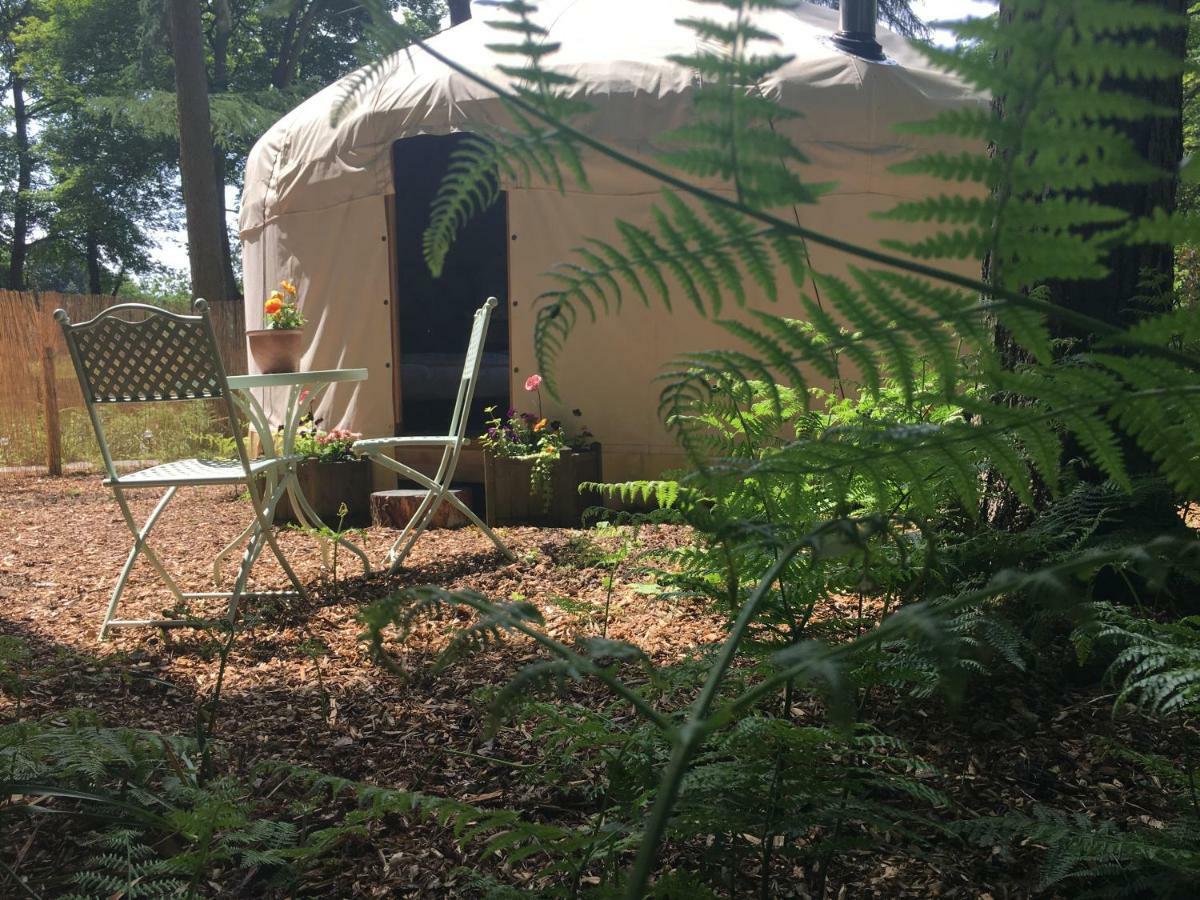 Gingerbread Cottage Yurts Dereham Exterior photo