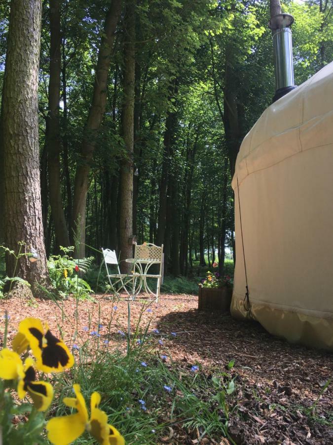 Gingerbread Cottage Yurts Dereham Exterior photo